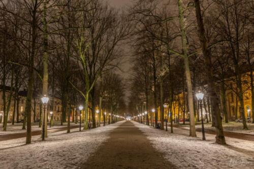 Den Haag bij nacht lange voorhout (1)
